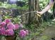 Шланг Karcher садовий багатошаровий Performance plus 5/8" 25 м, до 45 бар фото 4