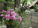 Шланг Karcher садовий професійний Performance Premium 1/2" 20 м, до 50 бар фото 4