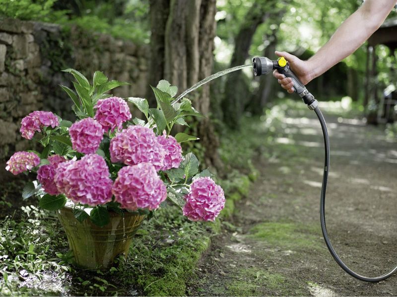 Шланг Karcher садовий професійний Performance Premium 1/2" 20 м, до 50 бар фото