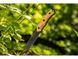 Нож тактический нержавеющее лезвие 14 см NEO TOOLS 63-110, ручка бамбук фото 5