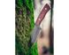 Нож тактический нержавеющее лезвие 12 см NEO TOOLS 63-111, ручка дерево фото 5